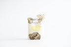 MagicSand