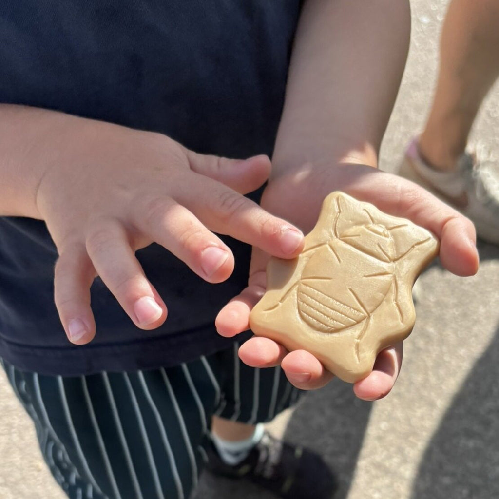 Sensory Play Stones Bugs