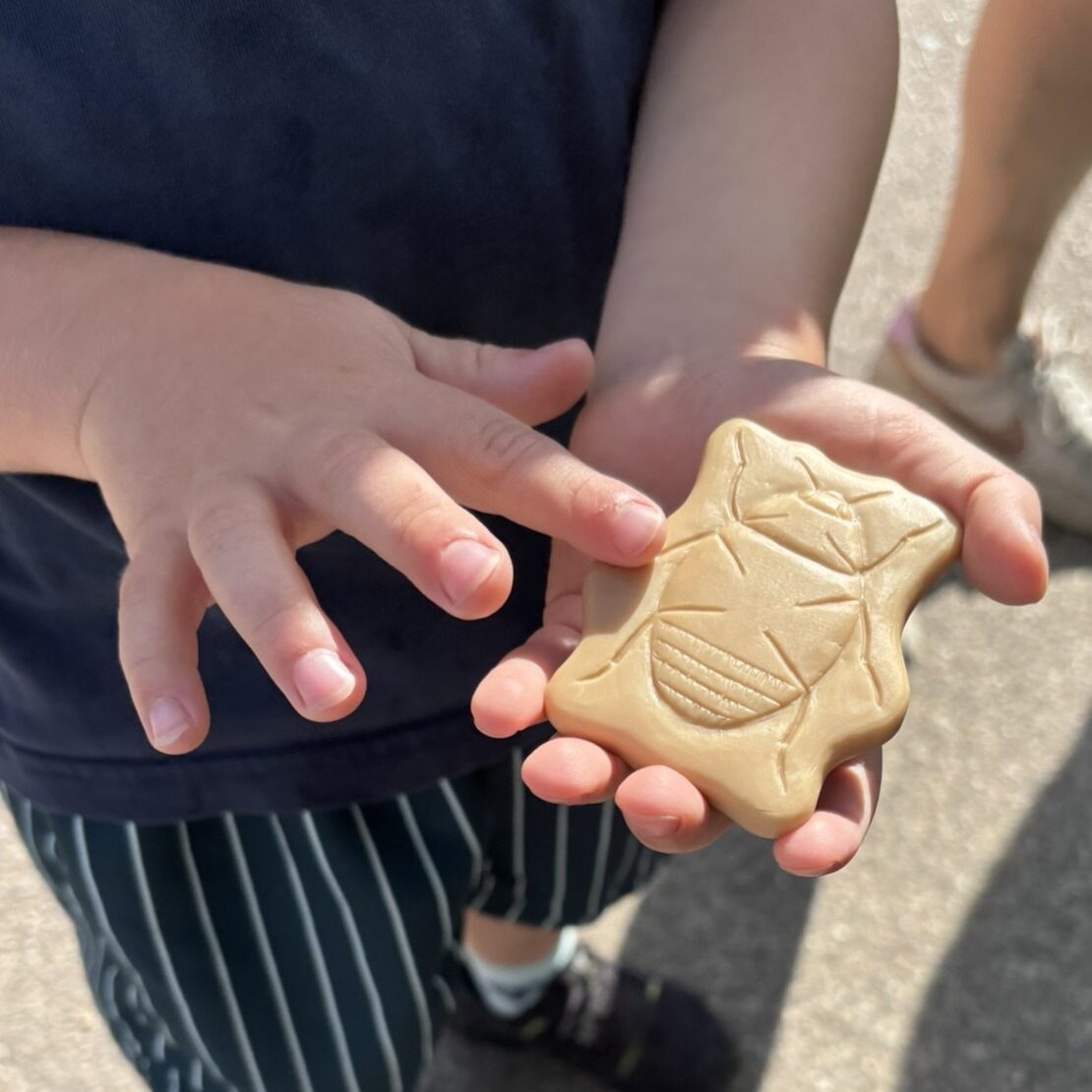 Sensory Play Stones Bugs