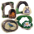 Who’s Hiding? Woodland Animals