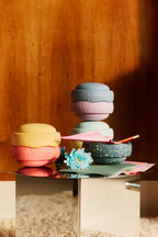 Mini Rainbow | Classic Water Lily