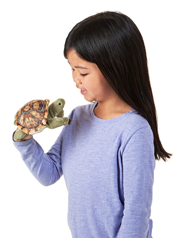 Mini schildpad