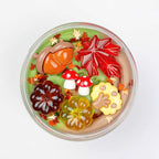 Surprise Pots Winter Collection