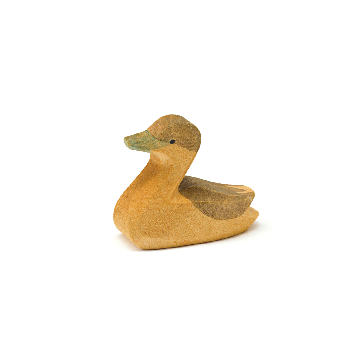 Canadese gans klein