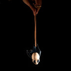 Horseshoe bat - closed wing