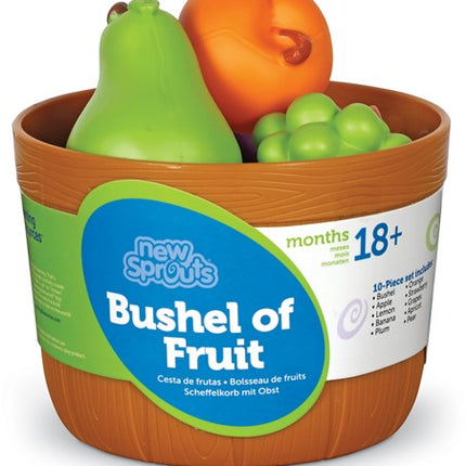 Learning Resources – New Sprouts® Mand met Fruit
