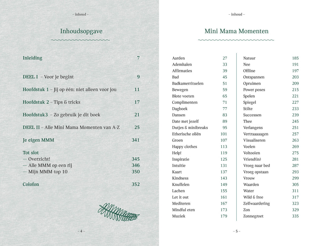 Mini Mama Momenten - Annet de Vries