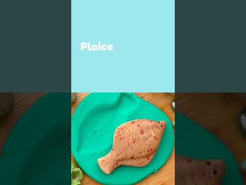 Fish – Sensory Play Stones