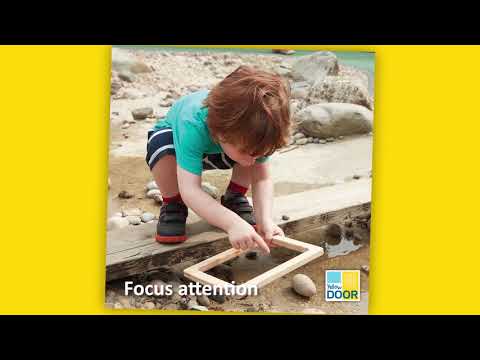 Natural Focus Frames