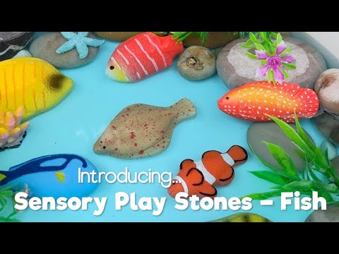 Fish – Sensory Play Stones