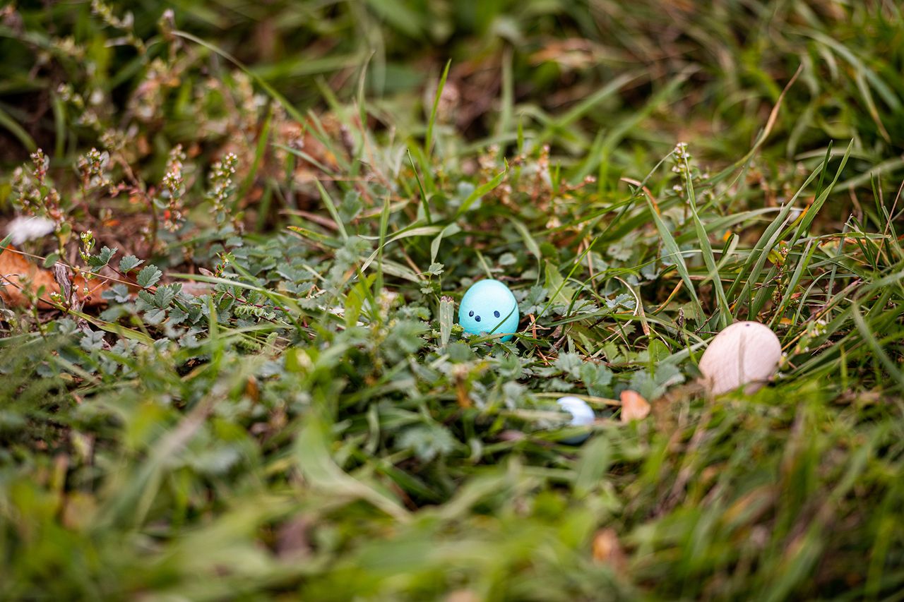 Egg pétanque