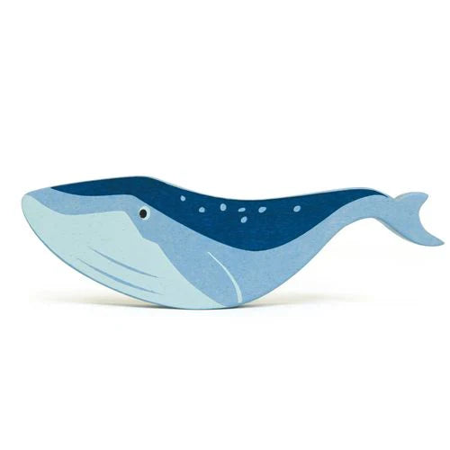 zeedieren walvis