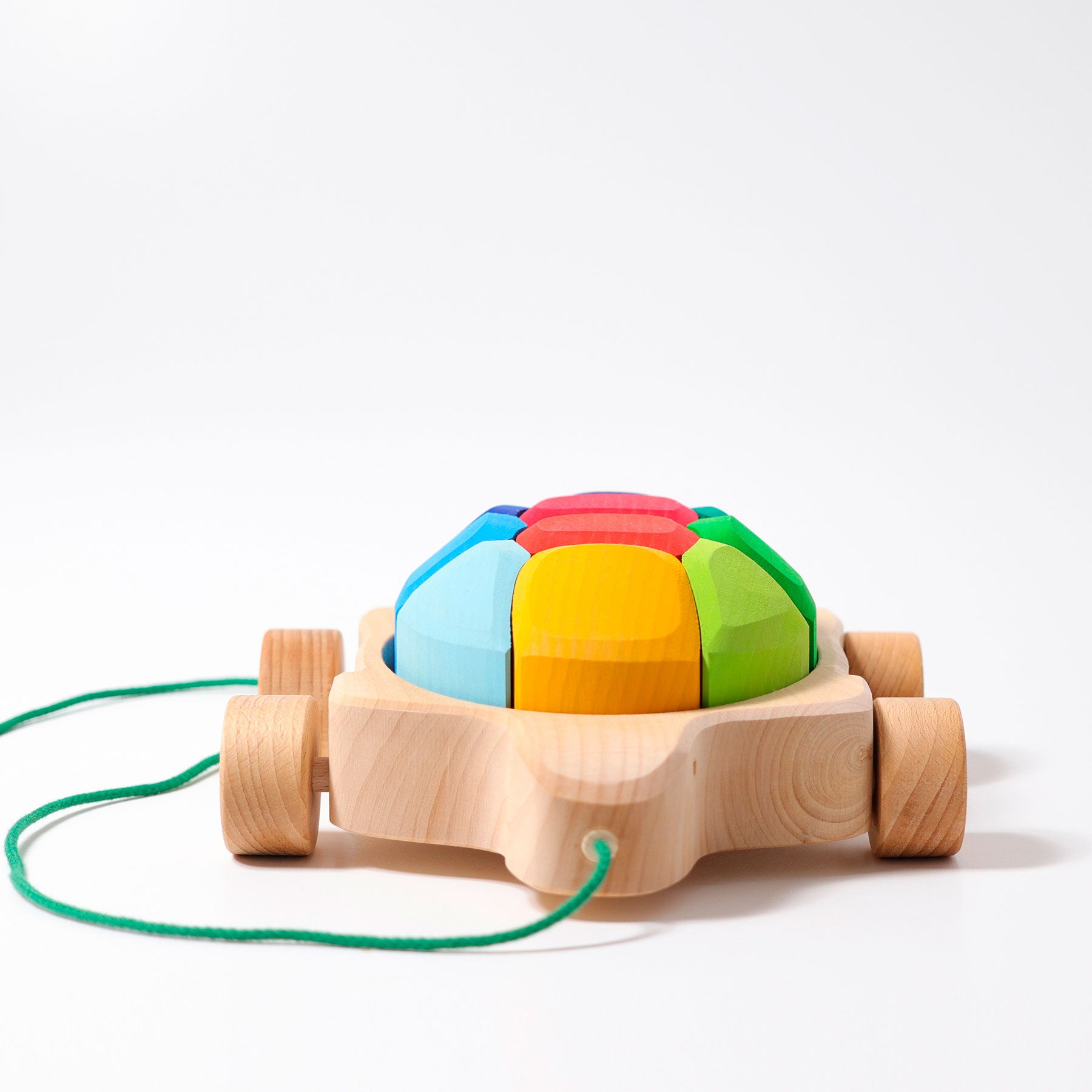 Grimm`s regenboogschildpad