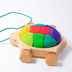 Grimm`s regenboogschildpad