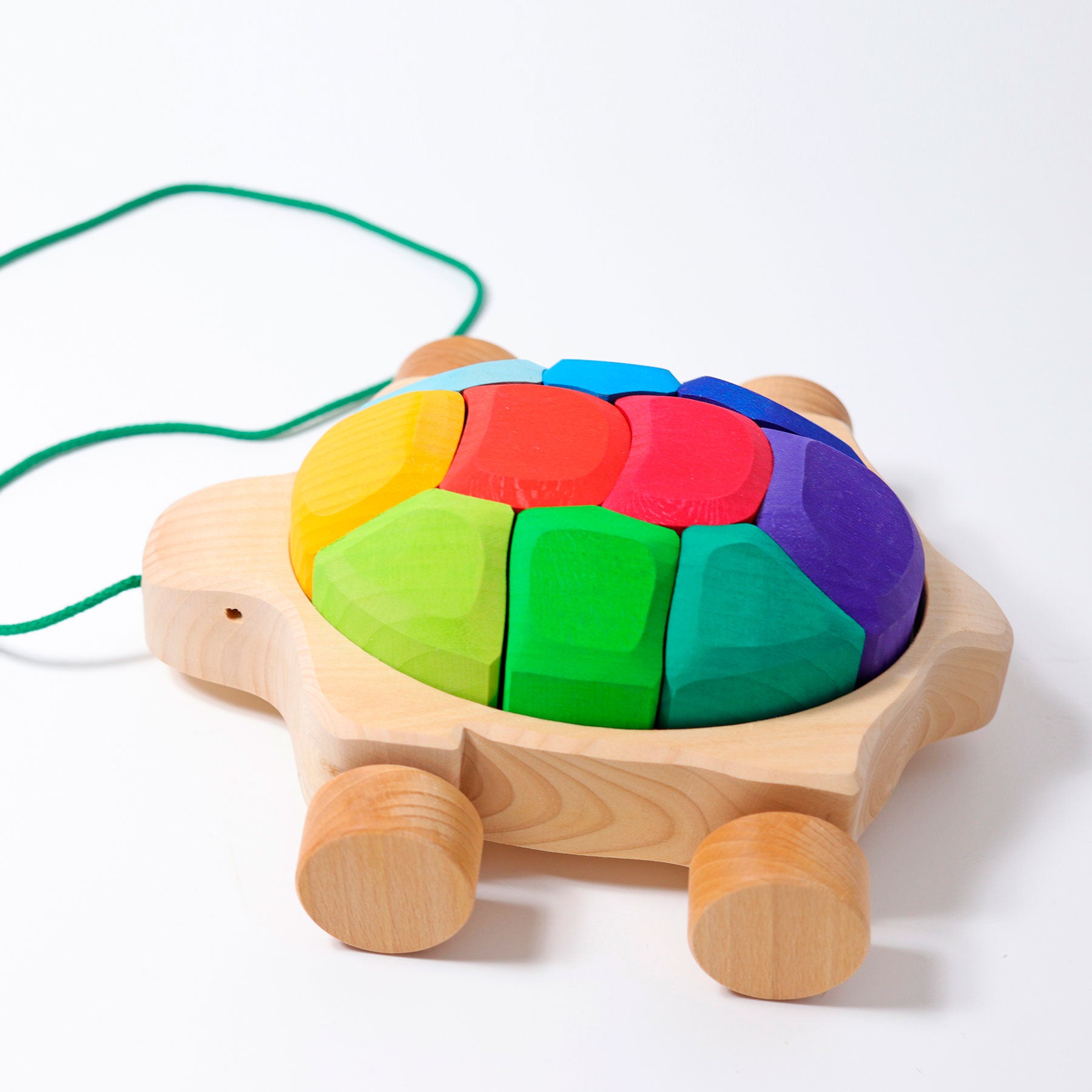 Grimm`s regenboogschildpad