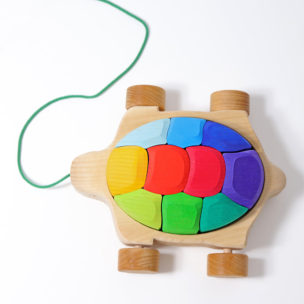 Grimm`s regenboogschildpad