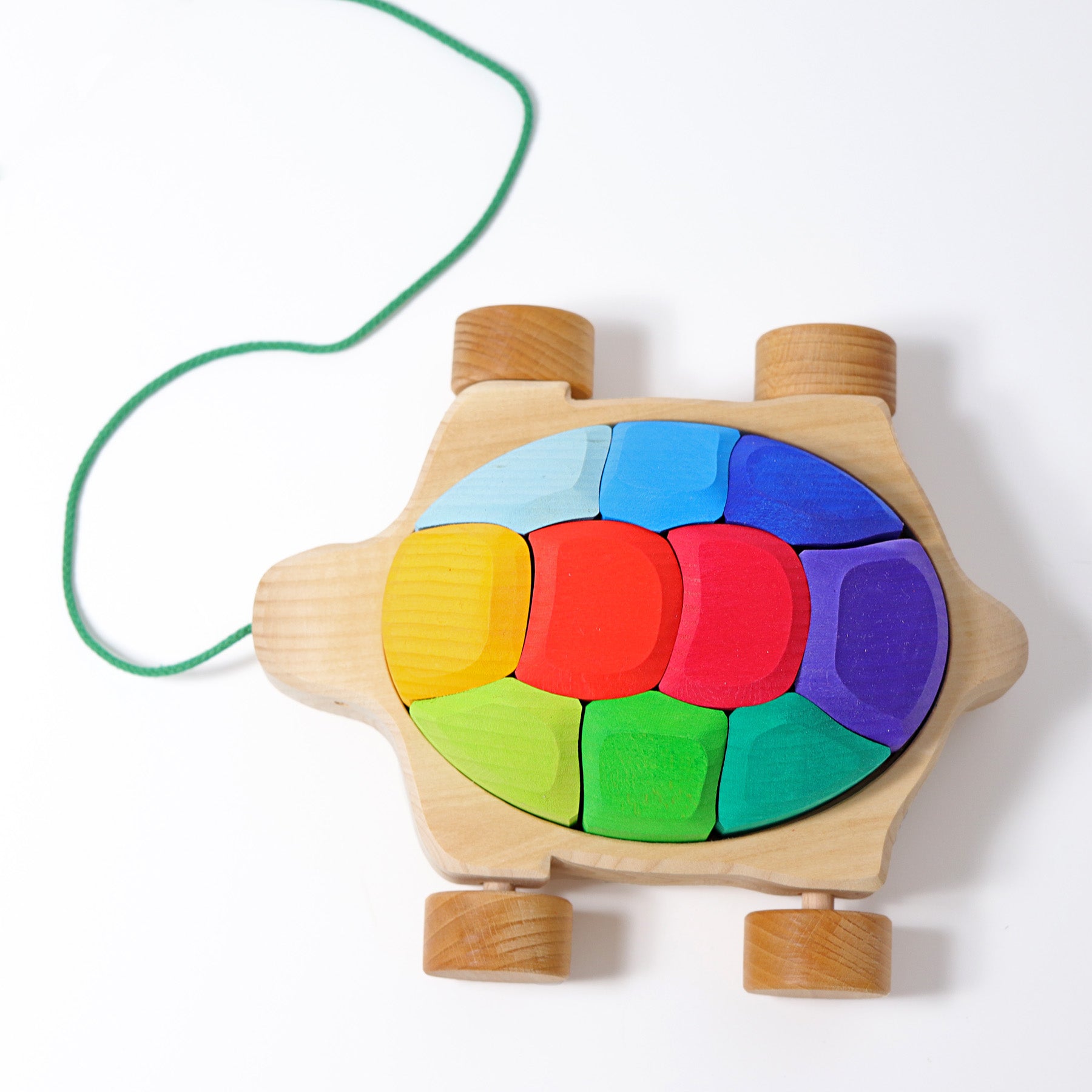 Grimm`s regenboogschildpad
