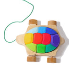 Grimm`s regenboogschildpad