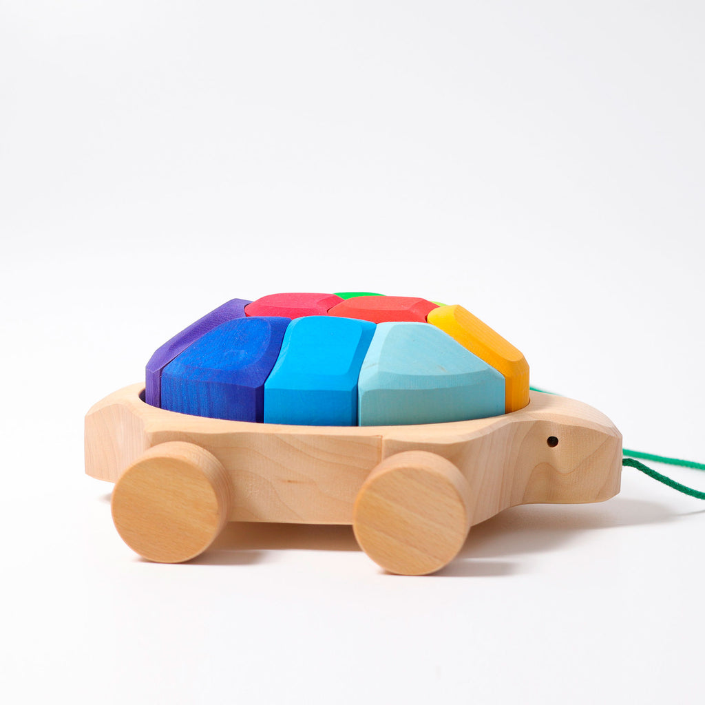 Grimm`s regenboogschildpad