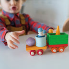 Grimm`s bouwset houten trein
