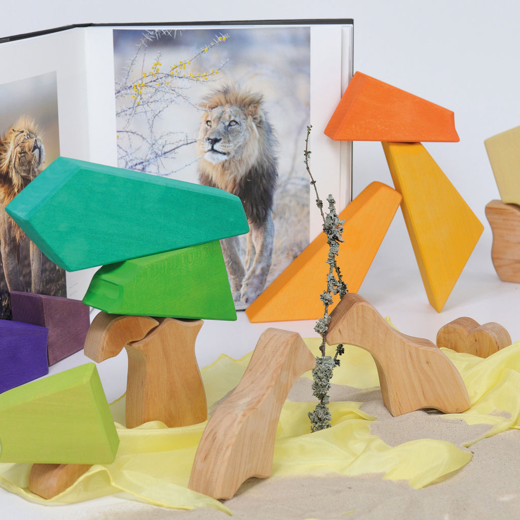 Grimm`s houten blokkenset regenboog leeuw