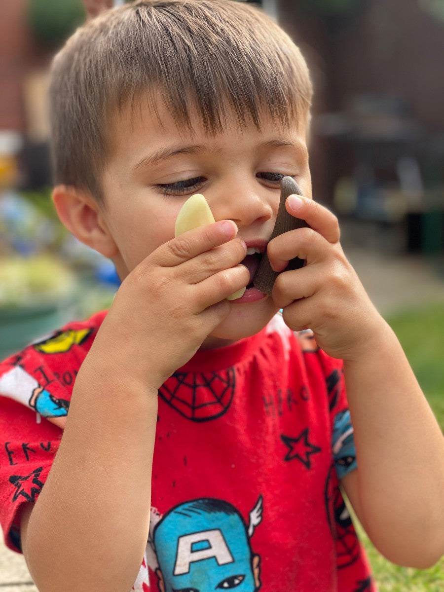 Yellow Door prehistorische tanden