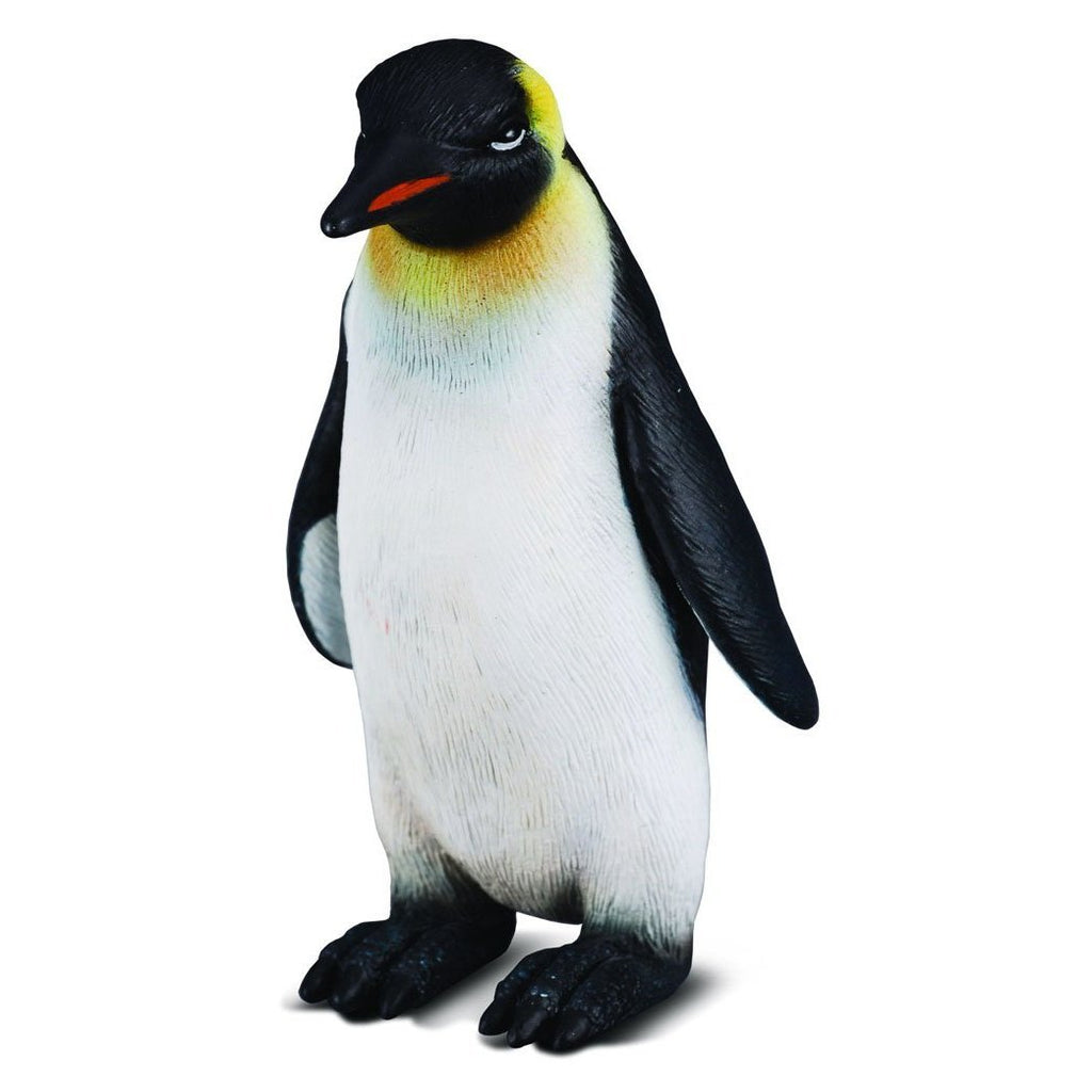 pinguin collecta