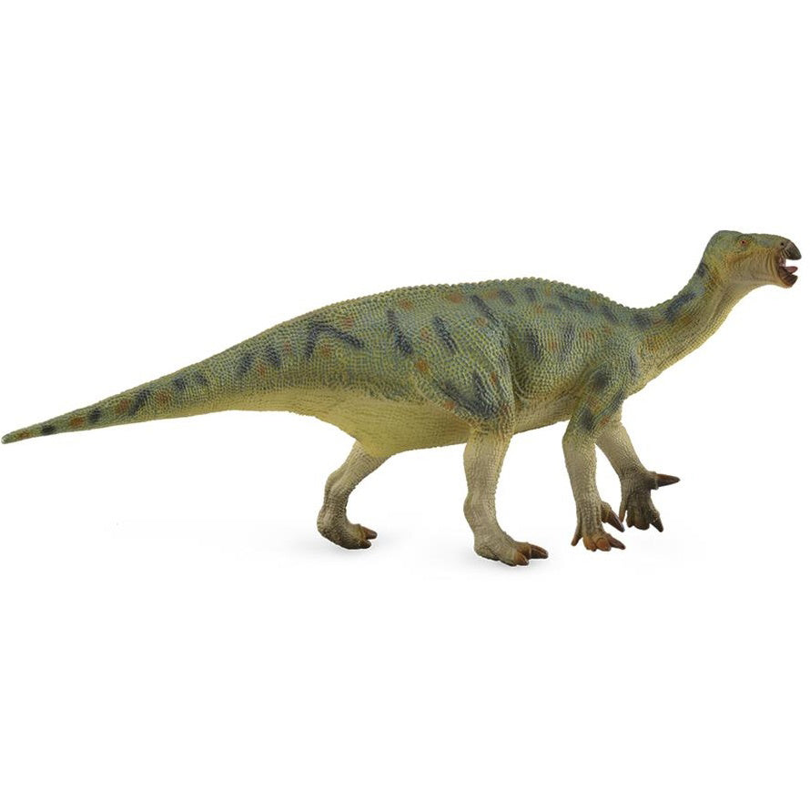 CollectA Iguanodon deluxe