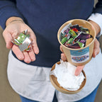 Grimm`s 140 grote acrylstenen