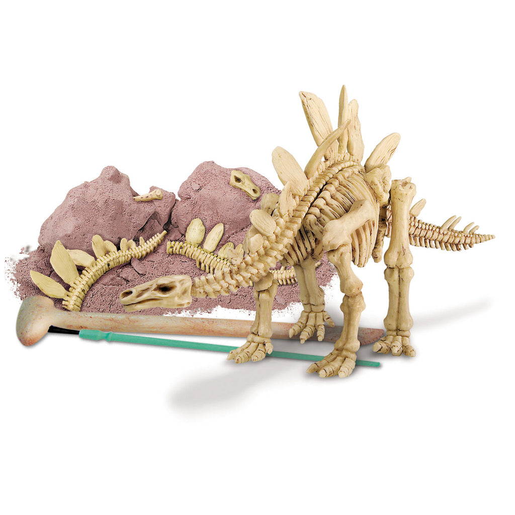 Inhoud van de doos van 4M Kidzlabs Graaf-Je-Dinosaurus-Op Stegosaurus