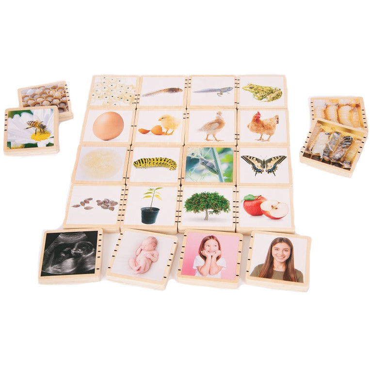 Tickit houten blokken levenscyclus