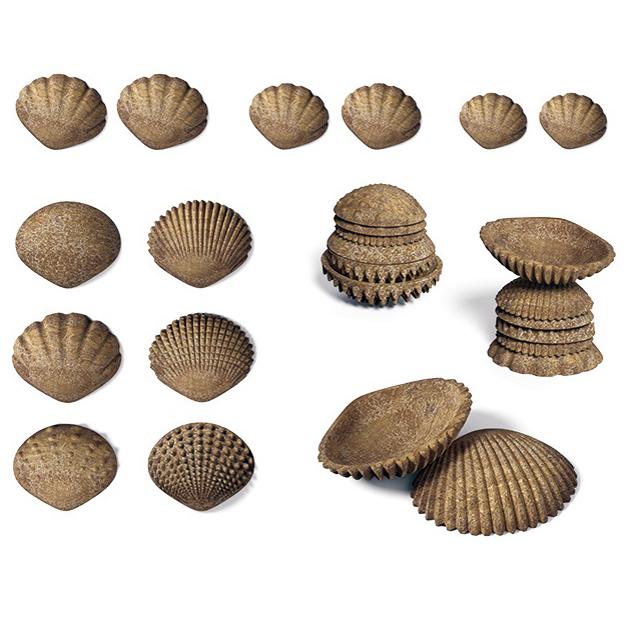 EDX tactiele sensorische ecologische schelpen