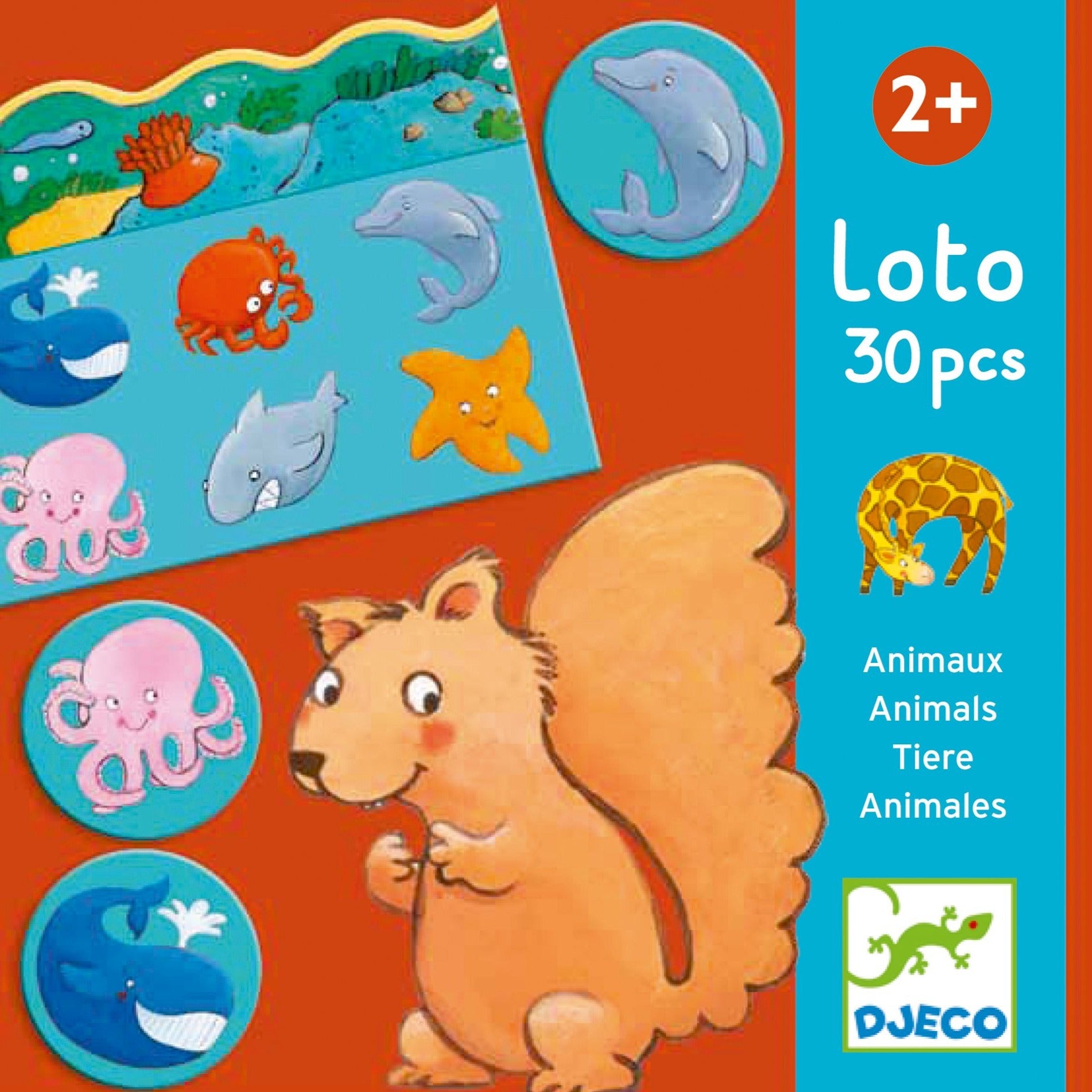 Djeco lotto dieren