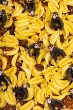 Petit Boum sensorische fles Sound Monkey