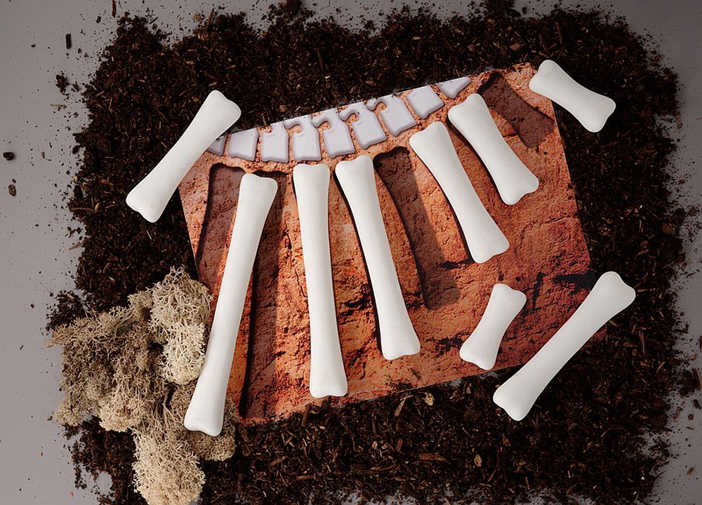 Yellow Door dinosaurus botten meten