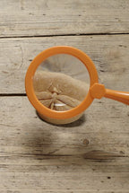 Yellow Door stenen met insecten