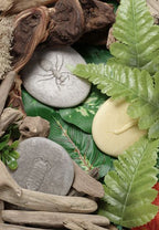 Yellow Door stenen met insecten