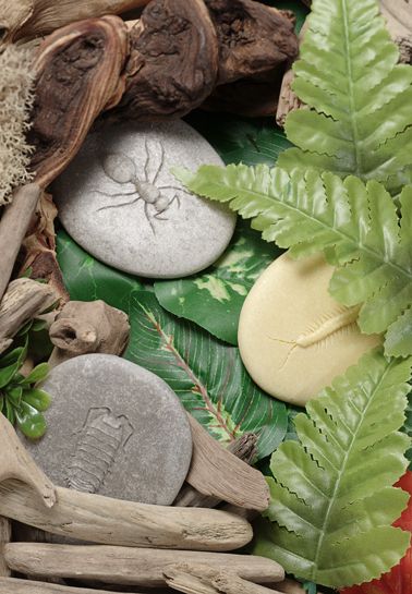 Yellow Door stenen met insecten