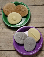 Yellow Door stenen met insecten