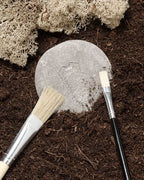 Yellow Door stenen met insecten