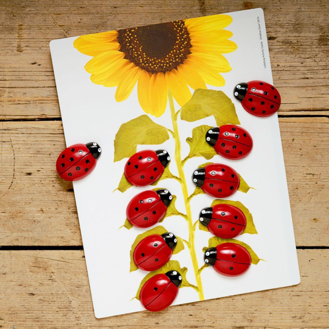 Yellow Door activiteitenkaarten lieveheersbeestjes