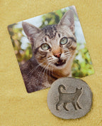 Yellow Door ontdekstenen pootafdrukken boerderijdieren