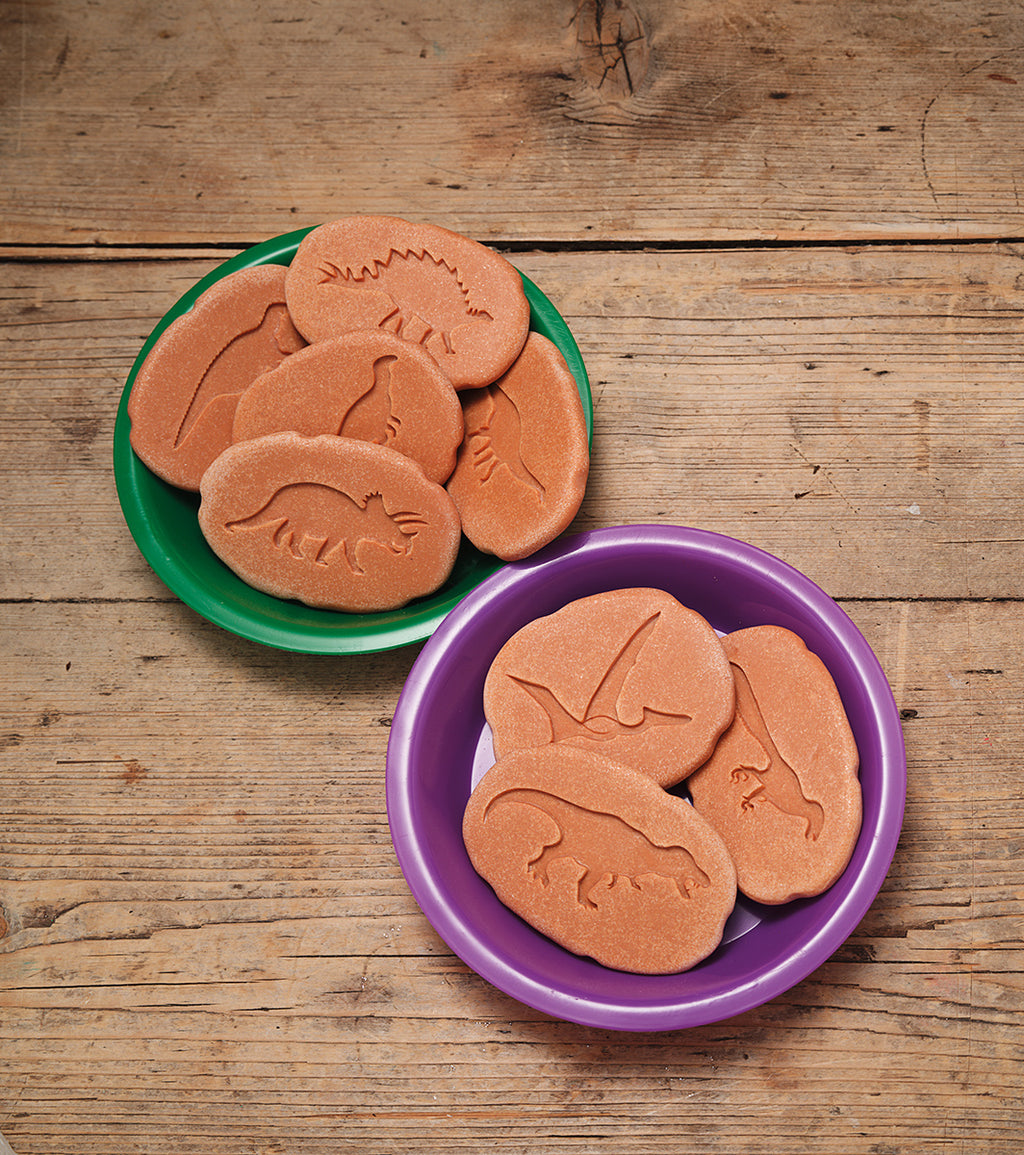 Yellow Door ontdekstenen pootafdrukken dinosaurussen