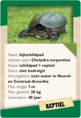 Uitgeverij Averbode Animalia