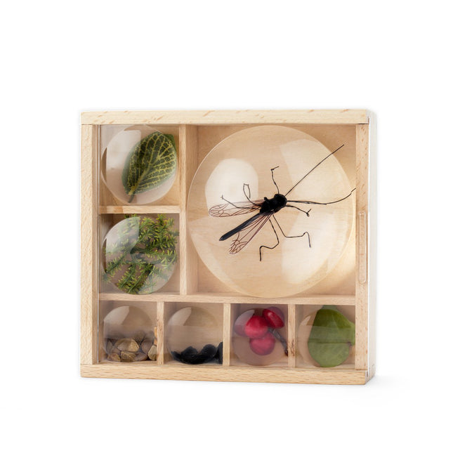 Kikkerland Huckleberry bug box