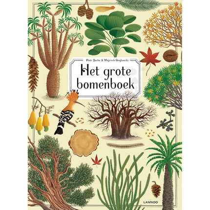 Het grote bomenboek - Piotr Socha