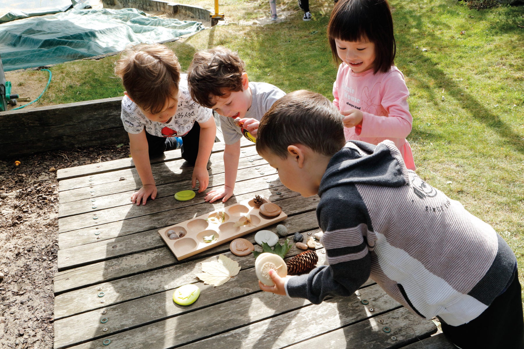 Yellow Door ontdekstenen natuur