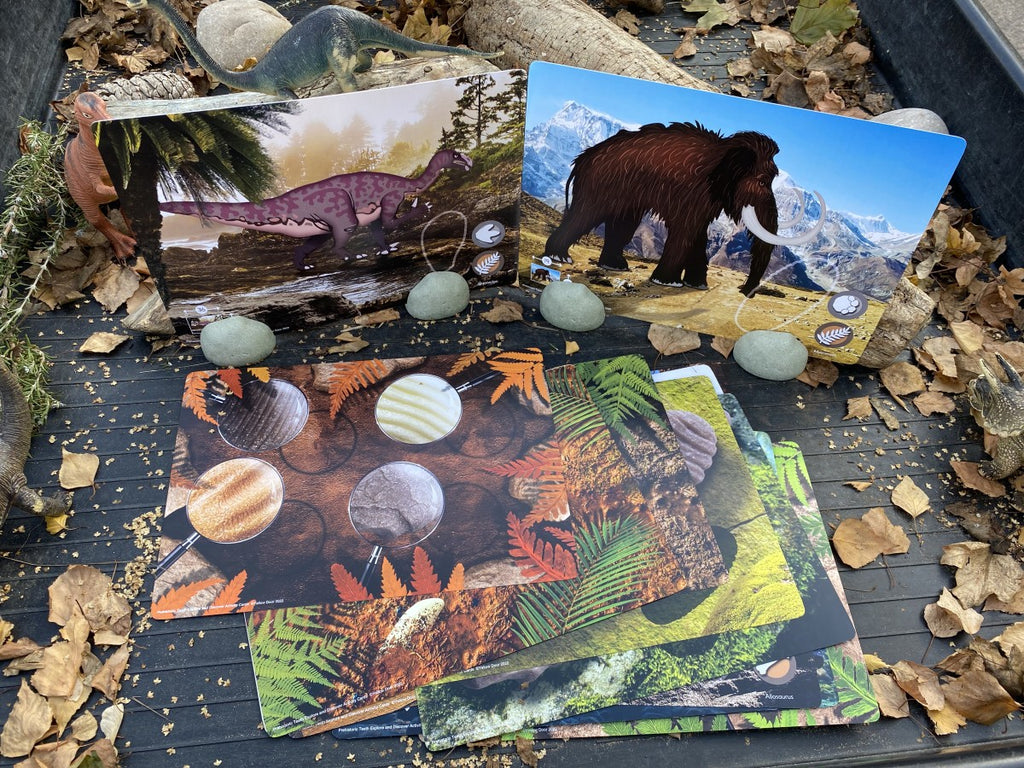 Yellow Door activiteitenkaarten prehistorische tanden