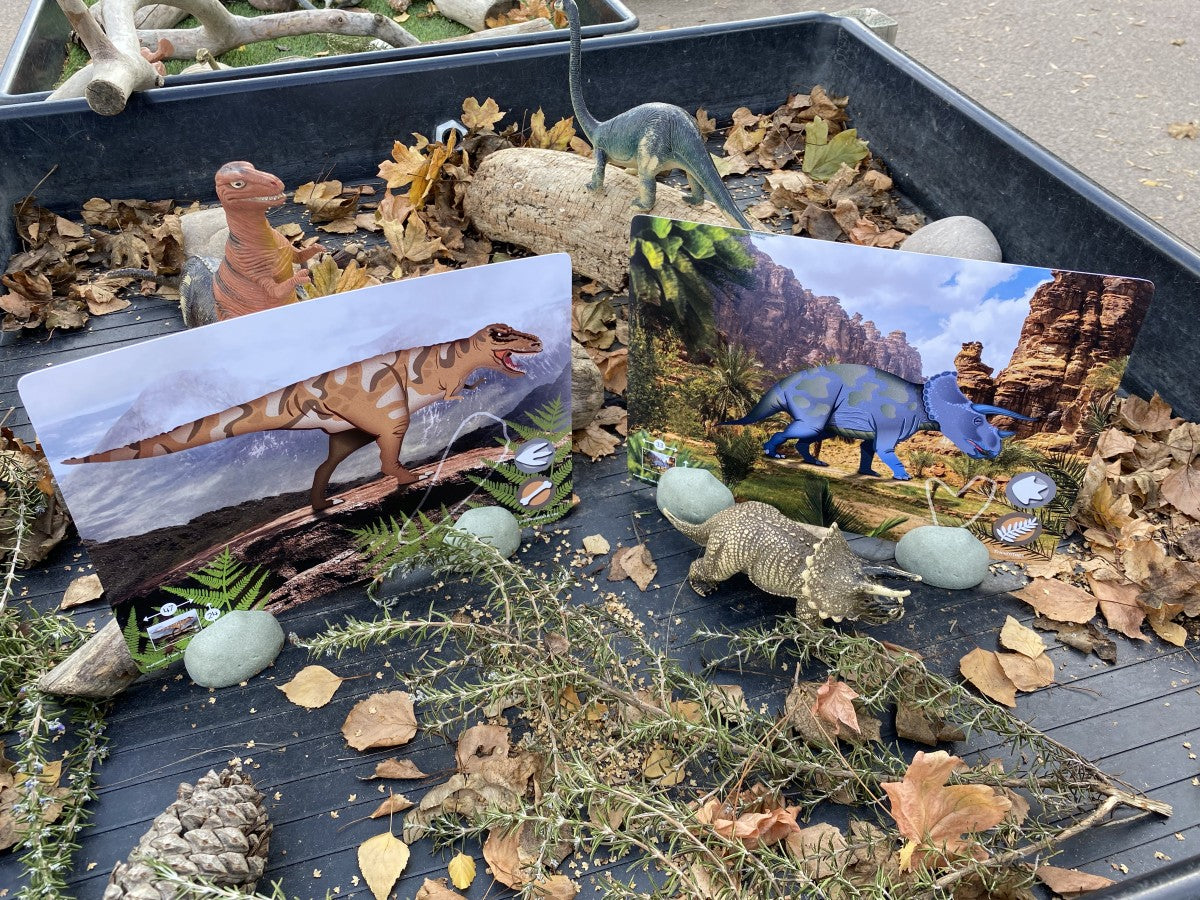 Yellow Door activiteitenkaarten prehistorische tanden