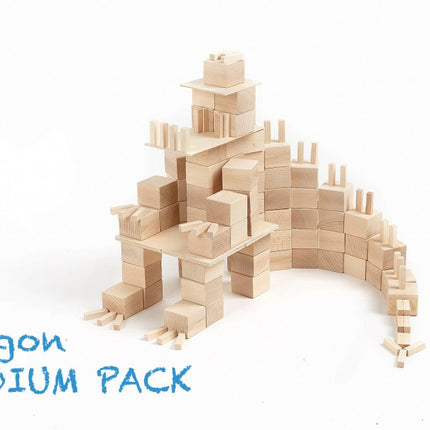Just Blocks medium pack 166 houten blokken draak